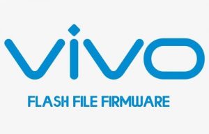 Download Vivo Flash File (Firmware Stock ROM)